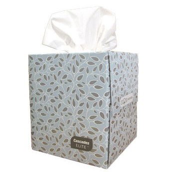 Cascades Elite Facial Tissue, 2-Ply, 9 x 7 8/10, White, 95 Tissues per Box